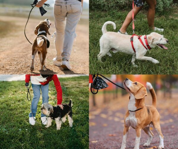 Bolsas Desechables para Popo de Perro Biodegradables Mascotas - Imagen 5